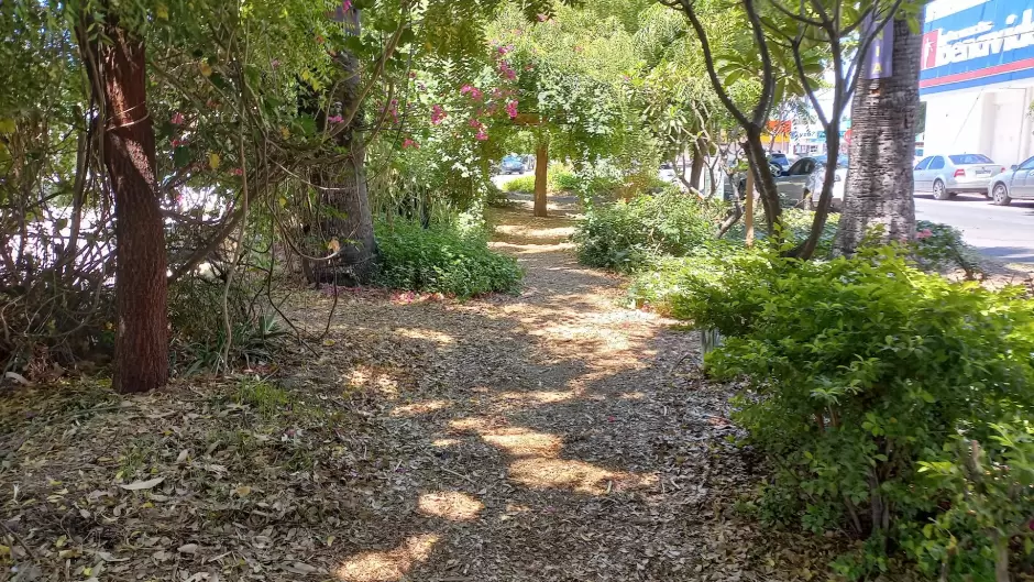 Bosque de la Alegra