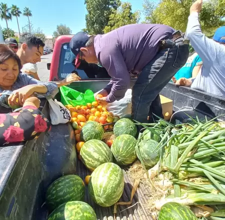 Venta de frutas y verduras de estudiantes de la Unison