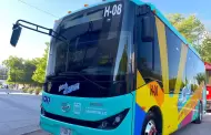 Transporte gratuito en camiones elctricos para las Fiestas del Pitic 2025