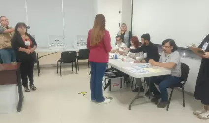Observadores electorales