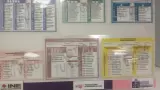 Votación anticipada