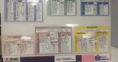 Votación anticipada