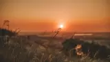 atardecer, verano, naturaleza
