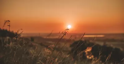 atardecer, verano, naturaleza