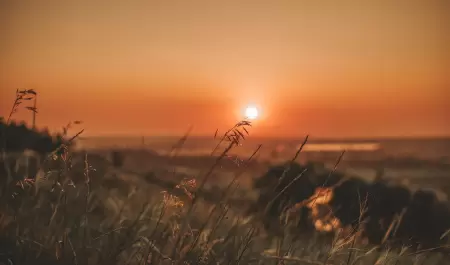 atardecer, verano, naturaleza