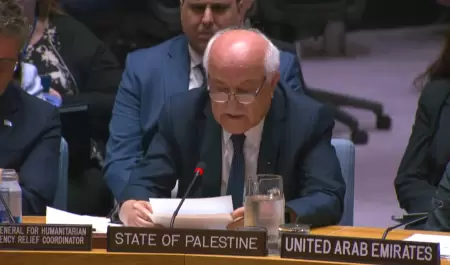 Riyad Mansour, embajador de la Misión de Observación de Palestina ante la ONU