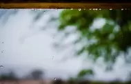 Reportan lluvias en distintas regiones de Sonora este domingo