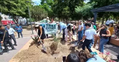 Recibe Hermosillo el distintivo Tree Cities of the World