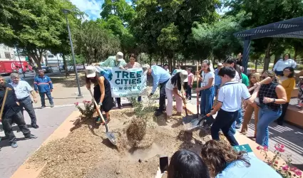 Recibe Hermosillo el distintivo Tree Cities of the World