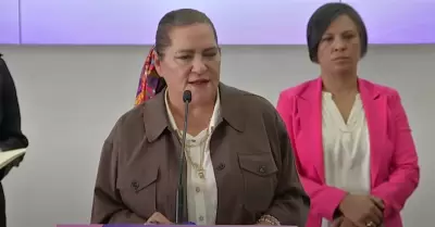 Guadalupe Taddei