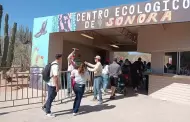Por falta de recursos, posponen reapertura del acuario en el Centro Ecolgico