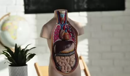 Donaci�n de �rganos