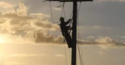 CFE, trabajador