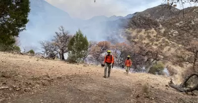 Incendios forestales