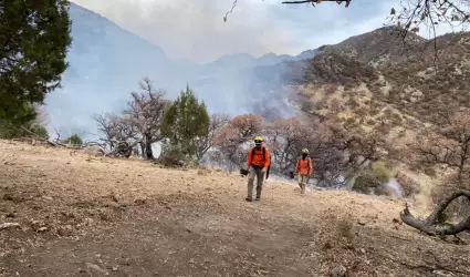 Incendios forestales