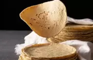 Acuerdo sobre maz y tortilla beneficia solo a dos organizaciones
