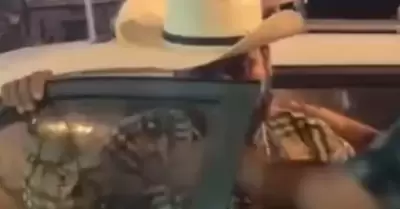 Se roba patrulla