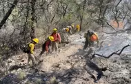 Combaten incendio forestal en Agua Prieta