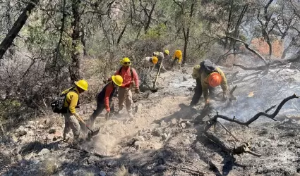 Incendio forestal en Agua Prieta
