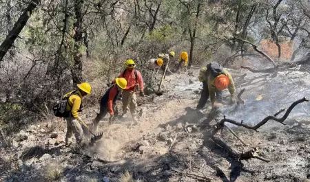 Incendio forestal en Agua Prieta