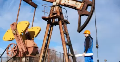 Petróleo