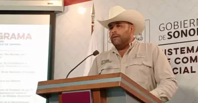 Norberto Ortega Torres