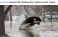 Microsismo en Ciudad de Mxico desata ola de memes