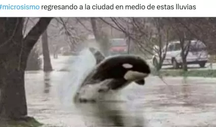Meme del microsismo