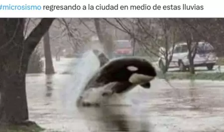 Meme del microsismo