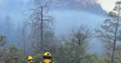 Incendio forestal Agua Prieta