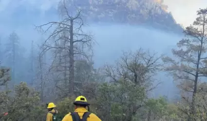 Incendio forestal Agua Prieta