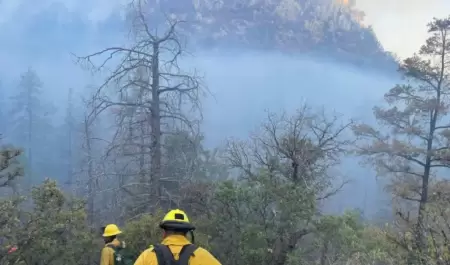 Incendio forestal Agua Prieta