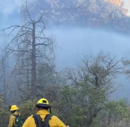 Incendio forestal Agua Prieta