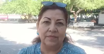 Luz Migdelia Navarro