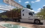 Triler se atora bajo puente peatonal en Luis Encinas y Amricas