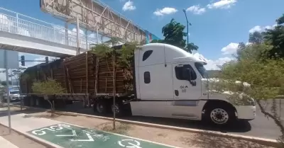 Tráiler de madera