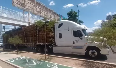Triler de madera