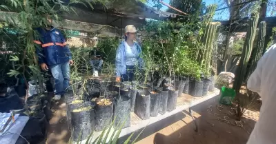 Donación de árboles en el vivero municipal