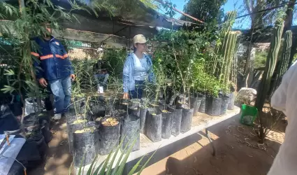 Donacin de rboles en el vivero municipal
