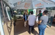 Ayuntamiento de Hermosillo ha entregado a ciudadanos 12 mil rboles nativos