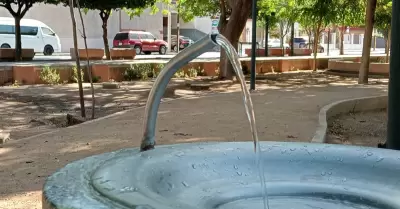 Calor