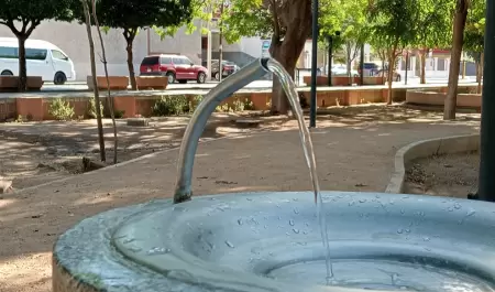 Calor