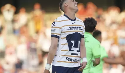Rogelio Funes Mori