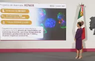 Farmacuticas sern parte del Plan Mxico; invertirn ms de 10 mmdp