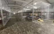Mxico pedir que migrantes connacionales no sean trasladados a "Alligator Alcatraz"