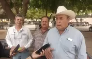 Afiliadoras de autos extranjeros solicitan permiso para circular en vacaciones