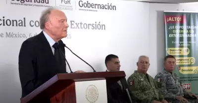 Alejandro Gertz Manero