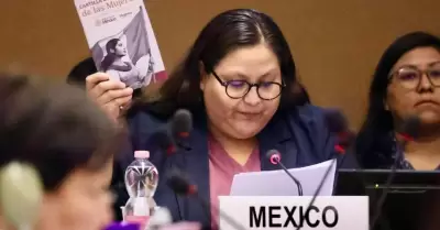 Reconocen recomendaciones del Comité de la ONU