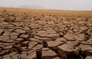 Sequa en muris mata ganado y agudiza crisis