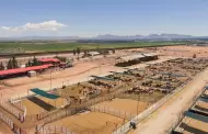 "Totalmente exagerada" decisin de cerrar frontera por nuevo caso de gusano barrenador: Sheinbaum